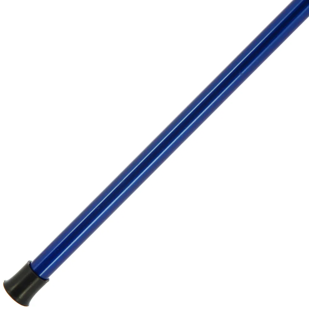 AP 10ft Bass Spinning Rod