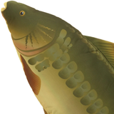 NGT 70cm Mirror Carp Pillow